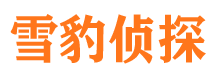 桥西外遇调查取证